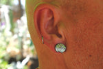 Glittery Rain Frog Enamel Stud Earrings